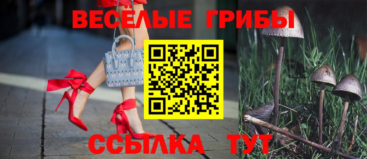 Псилоцибиновые грибы Cubensis Ульяновск