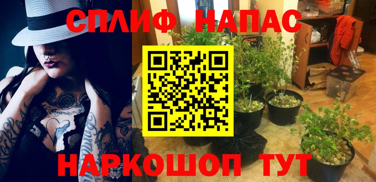 Канабис OG Kush Ульяновск